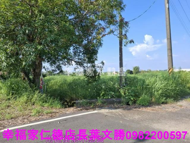 台南新化農地-15