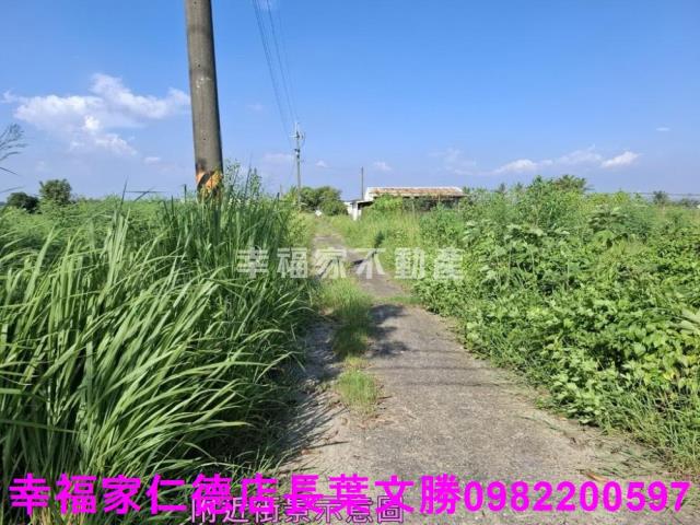 台南新化農地-7