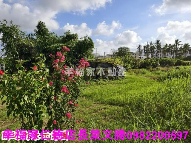 台南歸仁農地-10