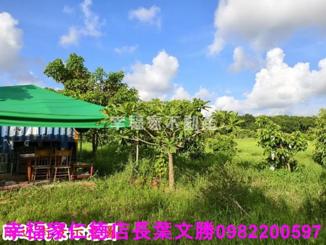 台南歸仁農地-11