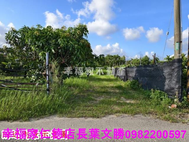 台南歸仁農地-13
