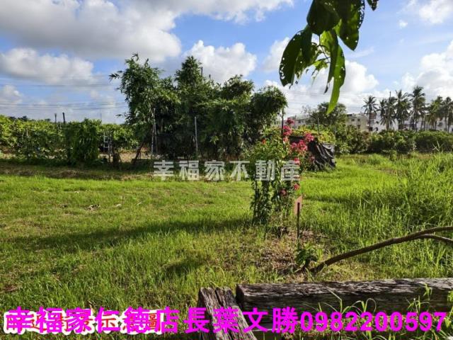 台南歸仁農地-9