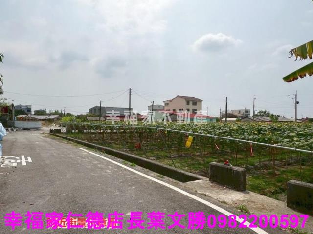 台南柳營農地-13
