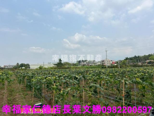 台南柳營農地-15