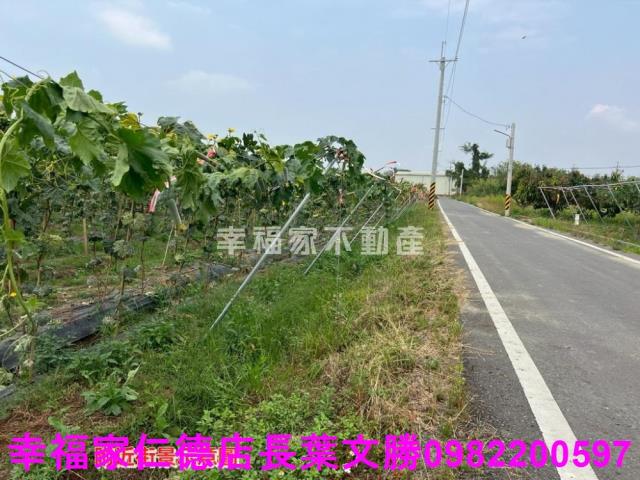 台南柳營農地-6