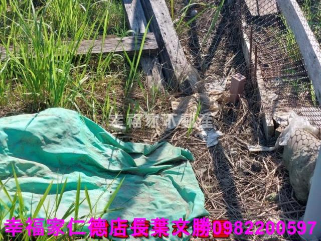 南區農地-5