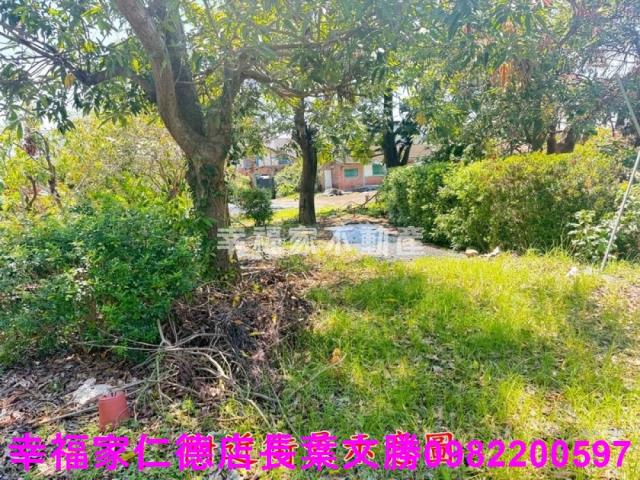 新營建地-3