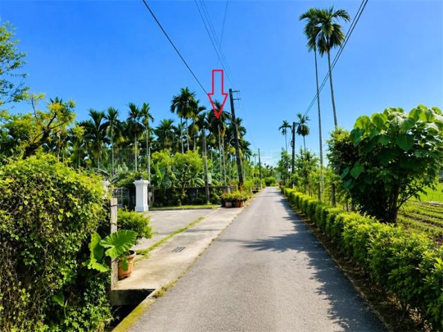 內埔農地-6