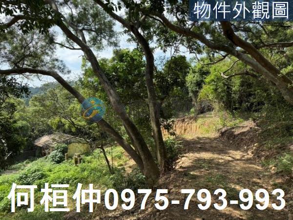 苗栗通霄農地-1
