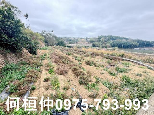 苗栗銅鑼農地-9