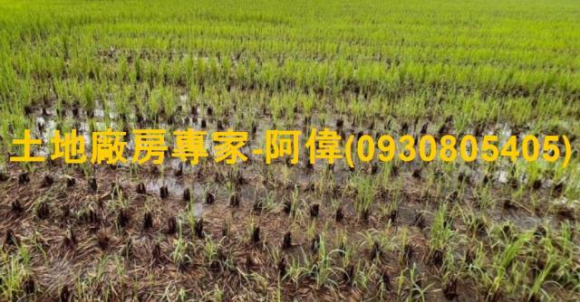 高雄仁武農地-1
