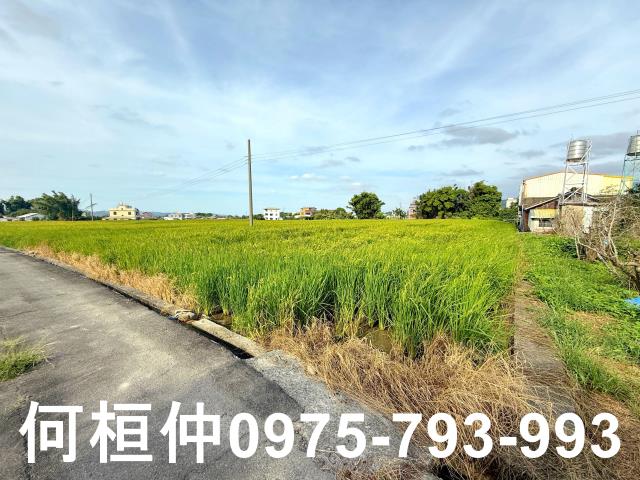 公館農地-8
