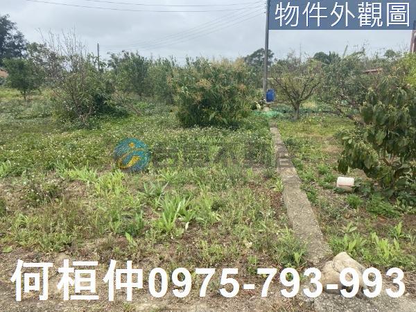 通霄農地-1