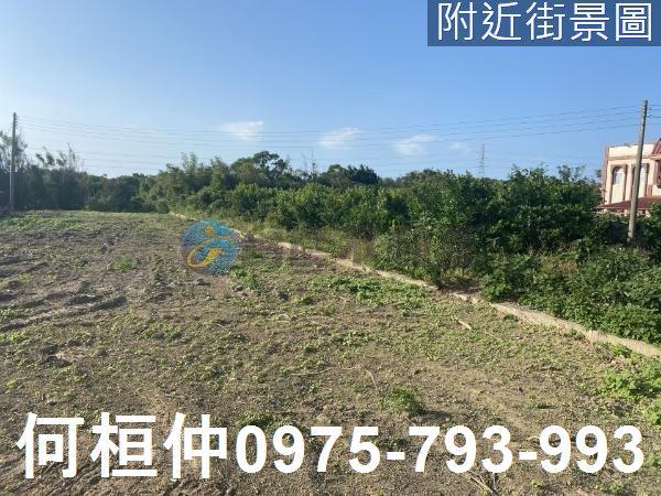 通霄農地-3