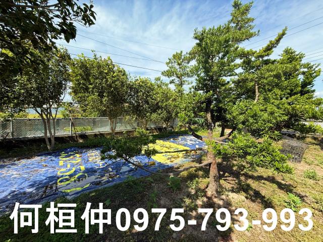 公館農地-10