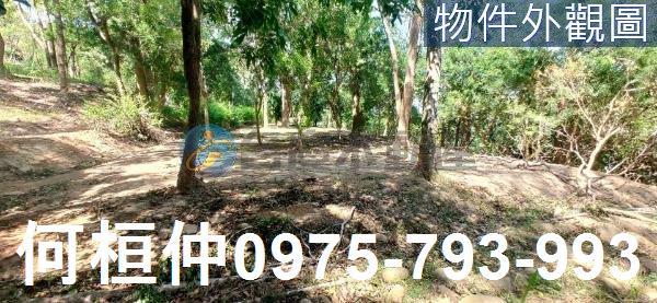 通霄農地-3