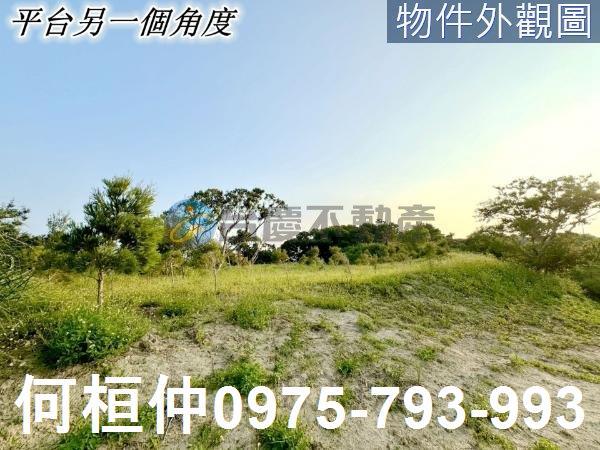 西湖農地-6