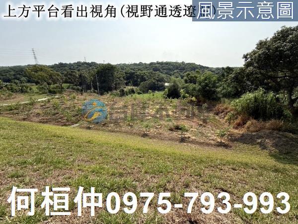 苑裡農地-3