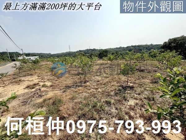 苑裡農地-6