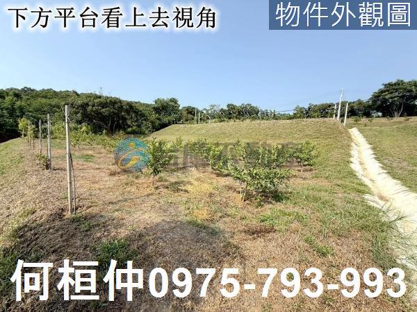 苑裡農地-7