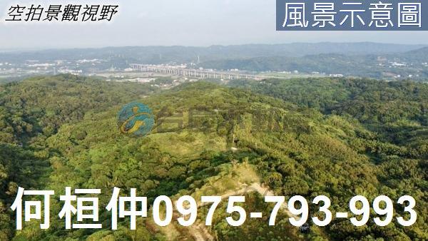 西湖農地-6