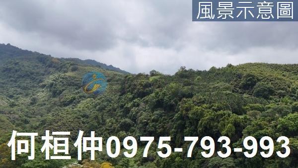 苗栗農地-1