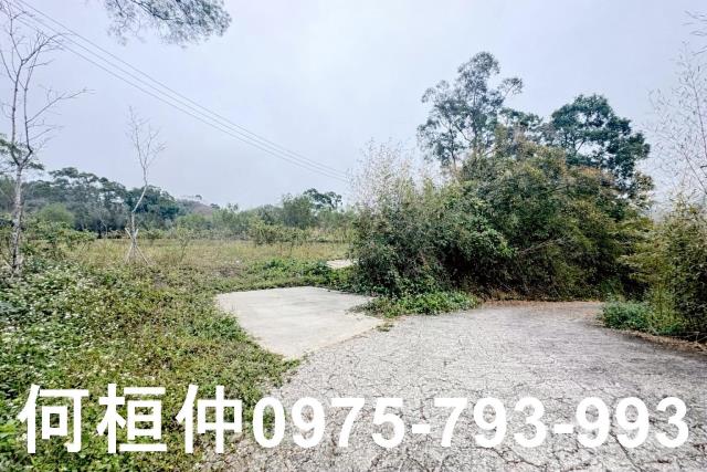 苗栗農地-12