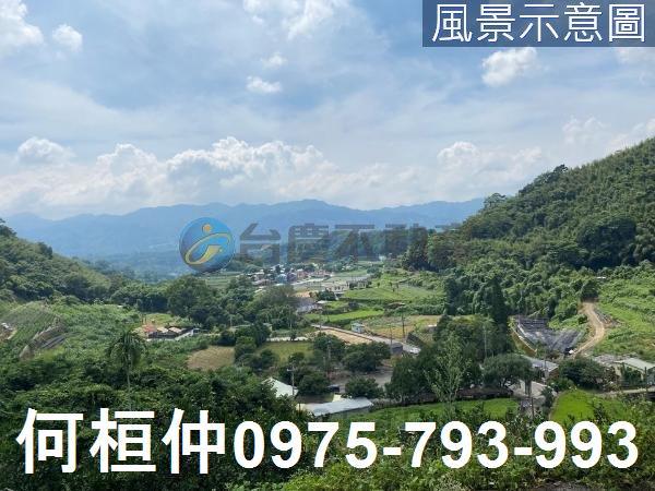 苗栗大湖農地-14