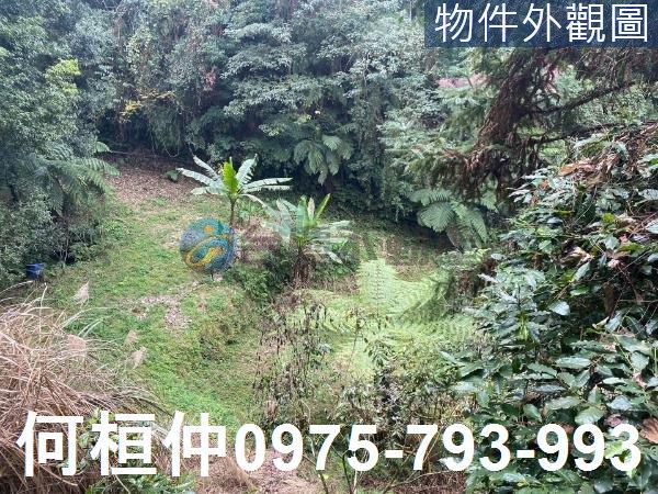 苗栗大湖農地-4