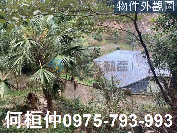苗栗大湖農地-7