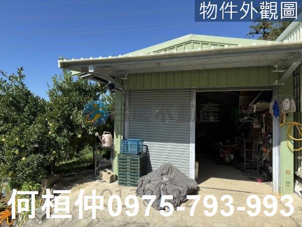 苗栗獅潭農地-2