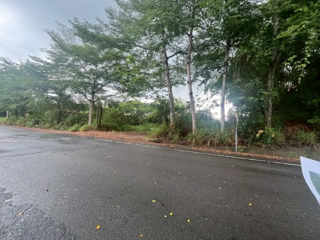 南投工業地-13