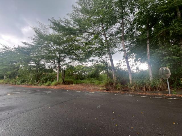 南投草屯工業地-14