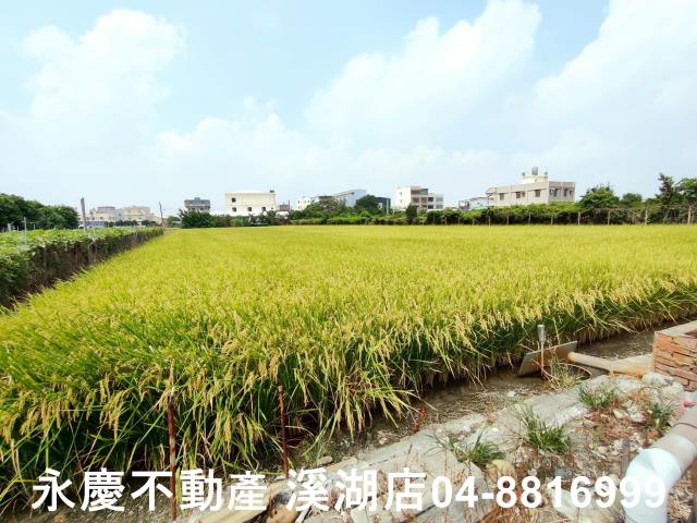 彰化溪湖農地-5