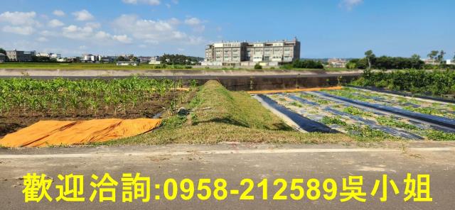 新竹新豐農地-11