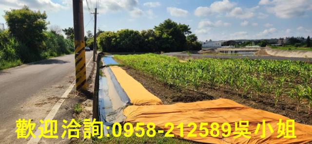 新竹新豐農地-12