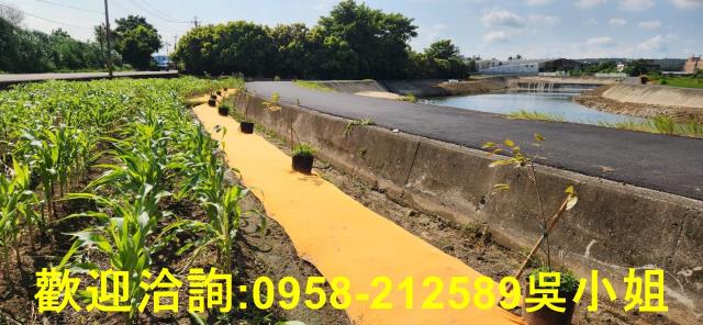 新竹新豐農地-14