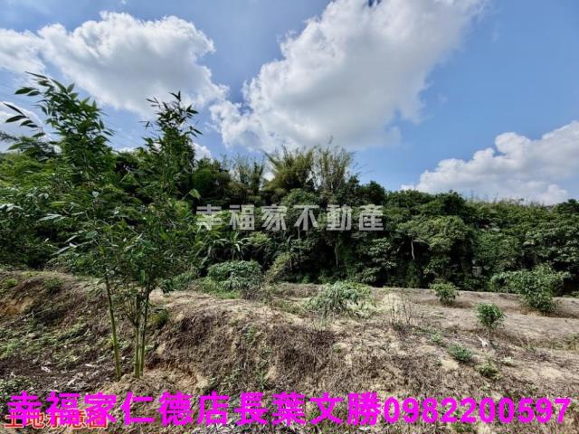 台南關廟農地-11