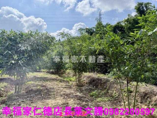 台南關廟農地-12