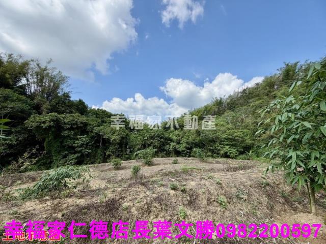 台南關廟農地-4
