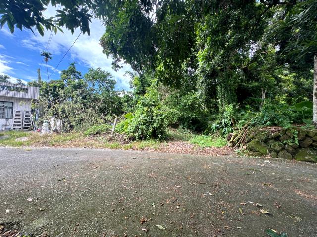 嘉義竹崎農地-6
