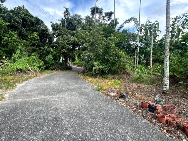 嘉義竹崎農地-7