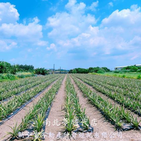 山上農地-6