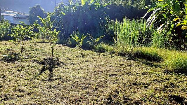 新竹橫山農地-13