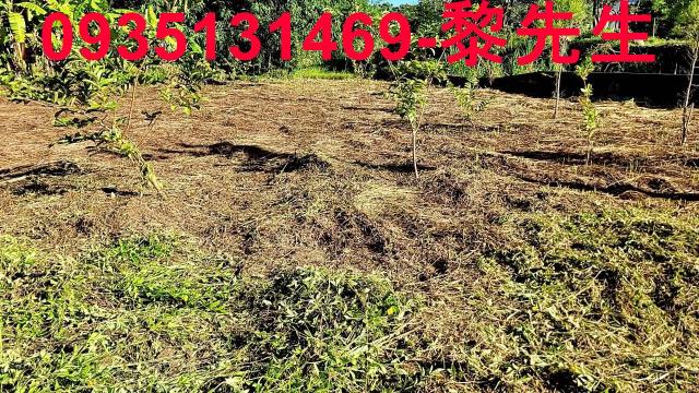 新竹橫山農地-10