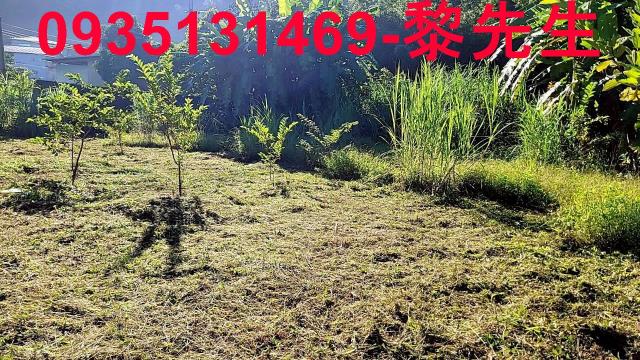 新竹橫山農地-11