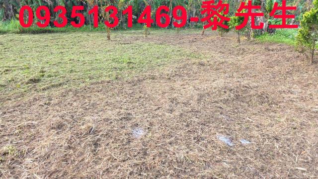 新竹橫山農地-13