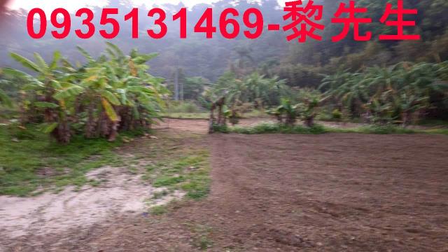 新竹橫山農地-15