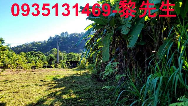 新竹橫山農地-3
