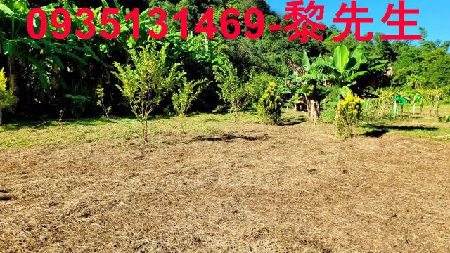新竹橫山農地-7